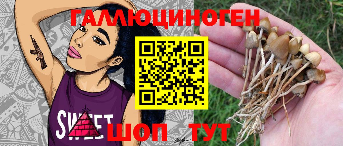 Благовещенск  Галлюциногенные грибы Psilocybe  закладка  Вход с VPN  Галлюциногенные грибы Psilocybe 
